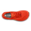 M077.Orange Yellow 02