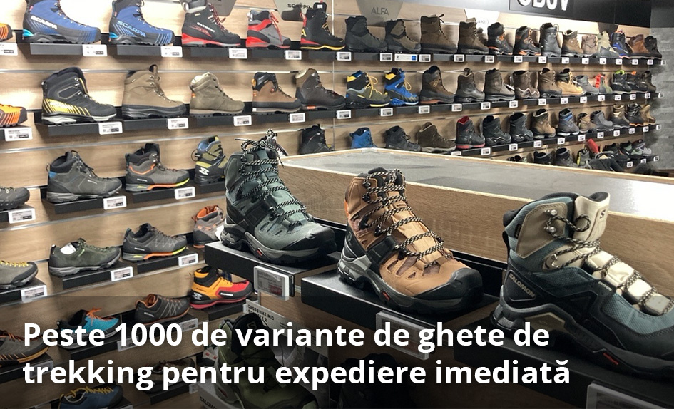 Peste 1000 variante