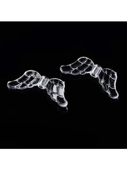 transparentní, plastová křídla (1)