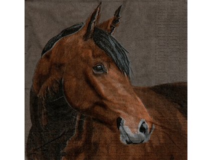 ubrousek, kůň 2