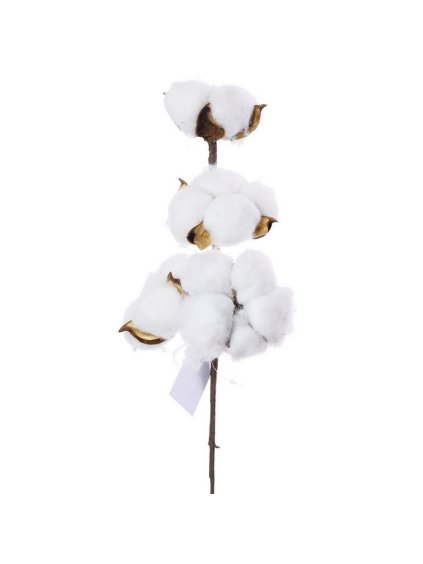 bavlna, větev, 27 cm