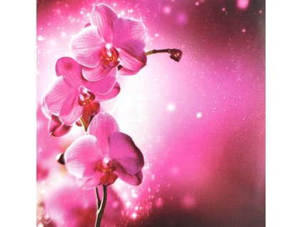 3d přání, orchidej