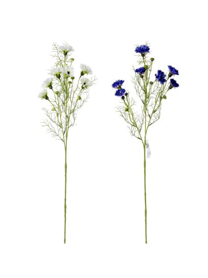 čekanka, umělá kytla