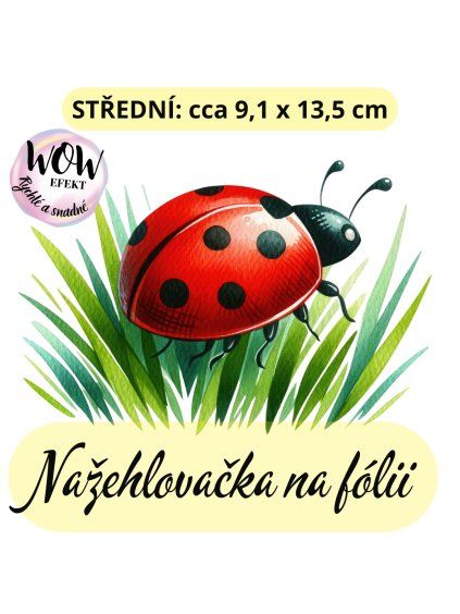 nažehlovačka, NNF06