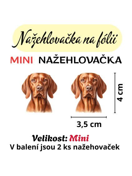 nažehlovačka, NNF170