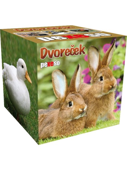 PEXESO BOX DVOREČEK