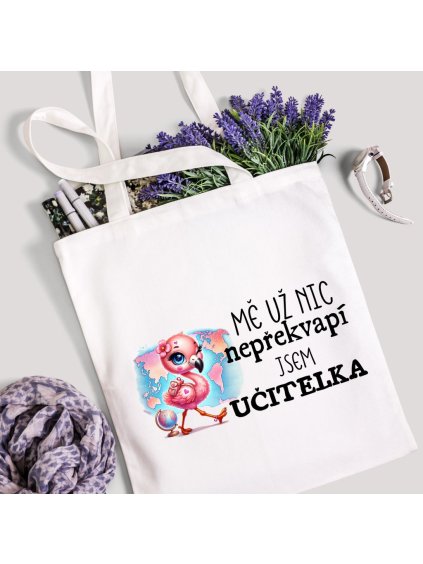 taška , jsem učitelka nic mne nepřekvapí