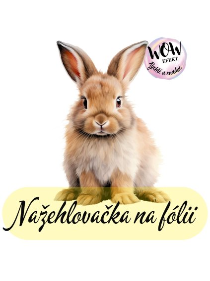 nažehlovačka, NNF300
