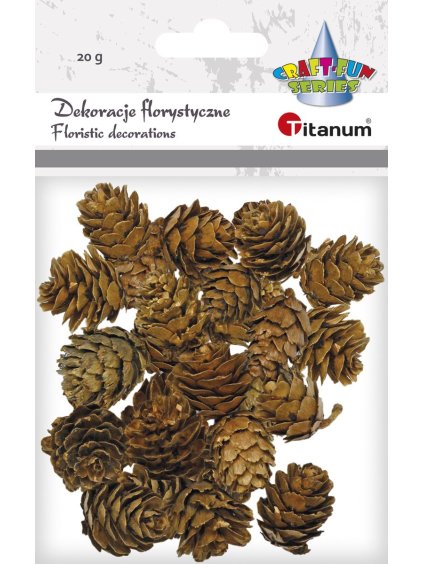 487301 dekorace šišky