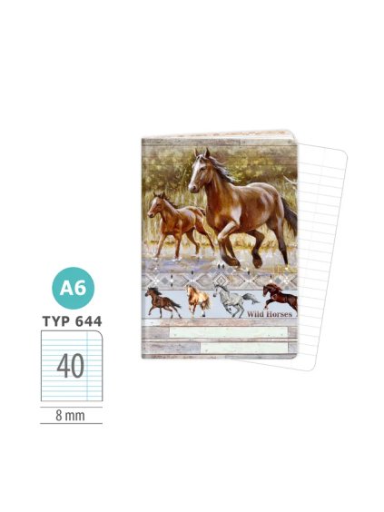 Snímek obrazovky 2026 01 14 094153