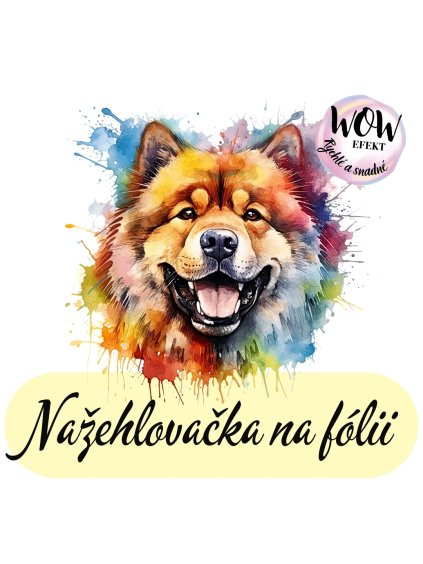 nažehlovačka, NNF679