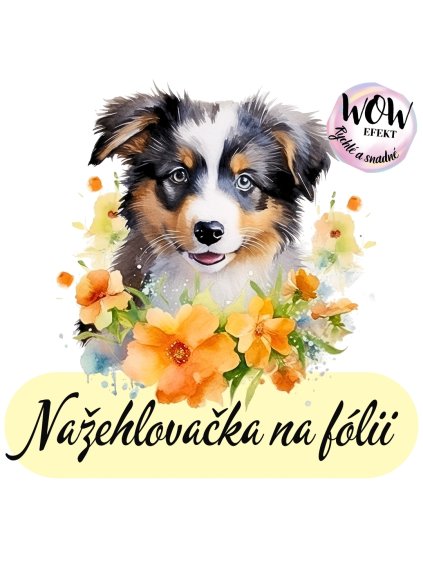 nažehlovačka, NNF680