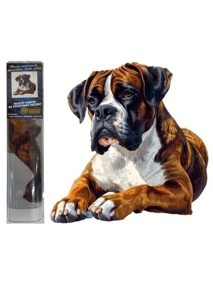 Snímek obrazovky 2026 01 22 134047