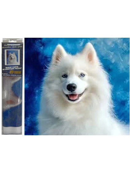 Snímek obrazovky 2026 01 22 134533