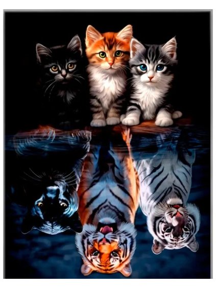 Snímek obrazovky 2026 01 22 134741