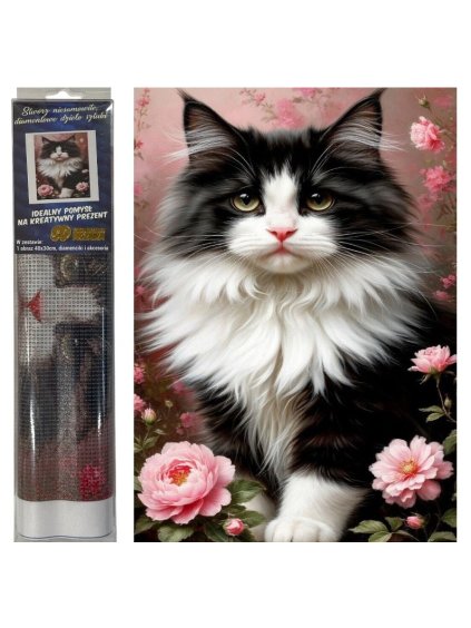 Snímek obrazovky 2026 01 22 134921