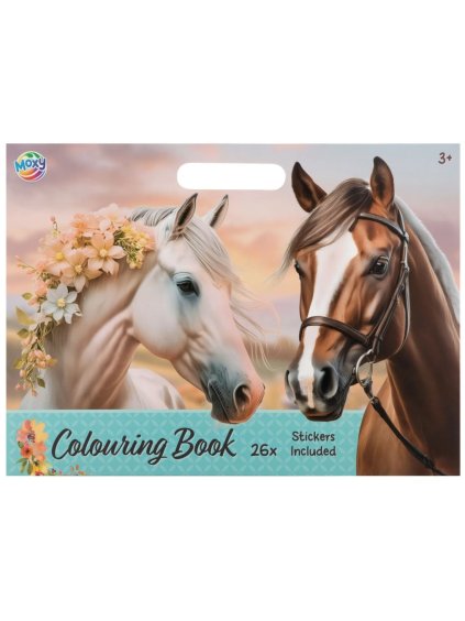 Snímek obrazovky 2026 01 23 120837