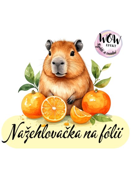 nažehlovačka, NNF698