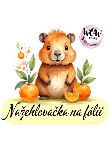 nažehlovačka, NNF699