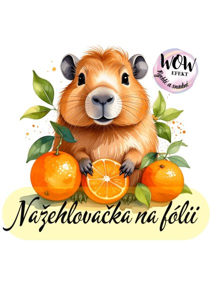 nažehlovačka, NNF701