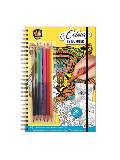 Omalovánky podle čísel - 150081