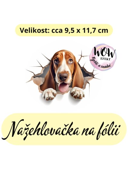 nažehlovačka, NNF675