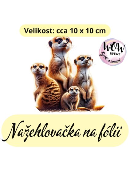 nažehlovačka, NNF731