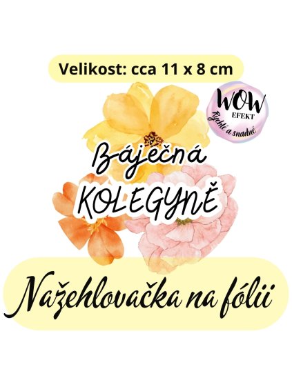 nažehlovačka, NNF735