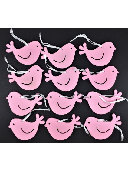 IN3000656, pěnoví, ptáčci