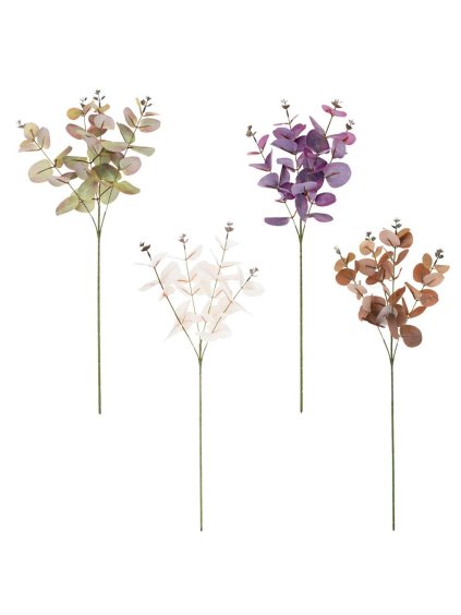 eucalypt, větev, zápich