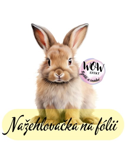 nažehlovačka, NNF300