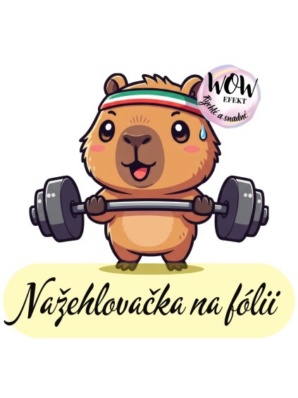 nažehlovačka, NNF746