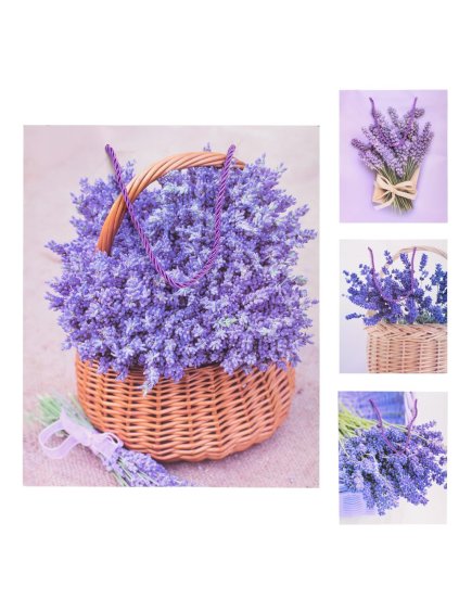 247668 dekorace dárková taška levandule