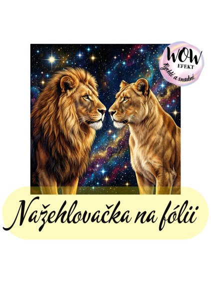 nažehlovačka, NNF753