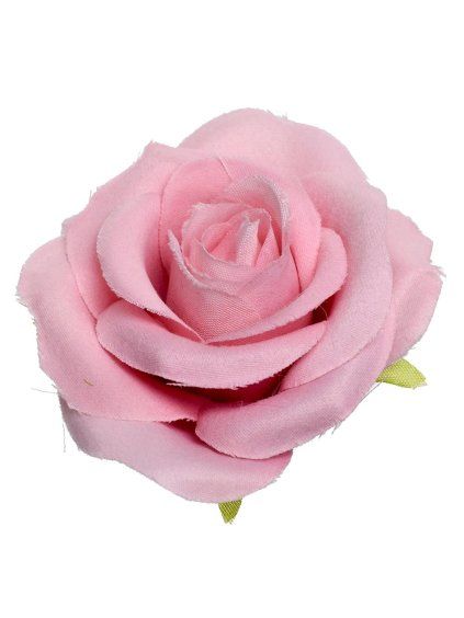 218884 hlava růřže růžová