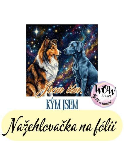 nažehlovačka, NNF761