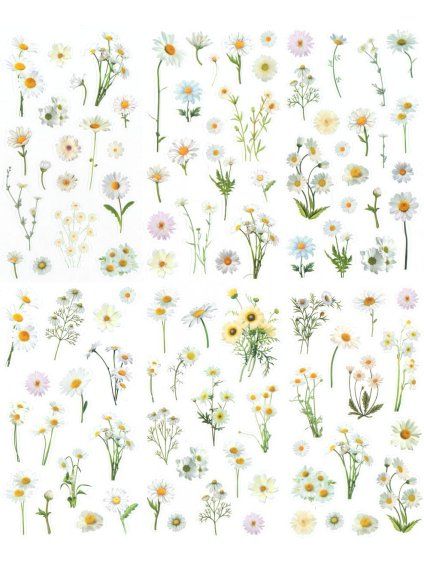 ccdae5f941c6c6ae7c1dff32fe527df942f7ef00