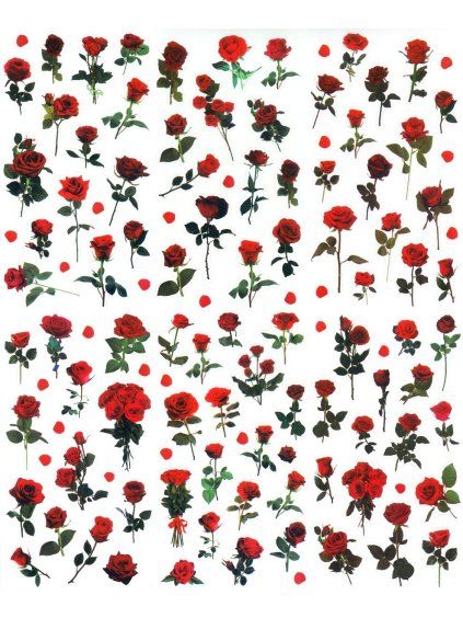 645573 samolepky růže