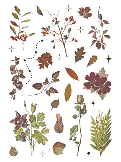 9e48646c9b77081f4eef81e8cbe56c14c4439475