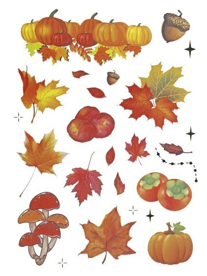 0a07d158e3b65565cf4fcc5c90c7a79c5052e515