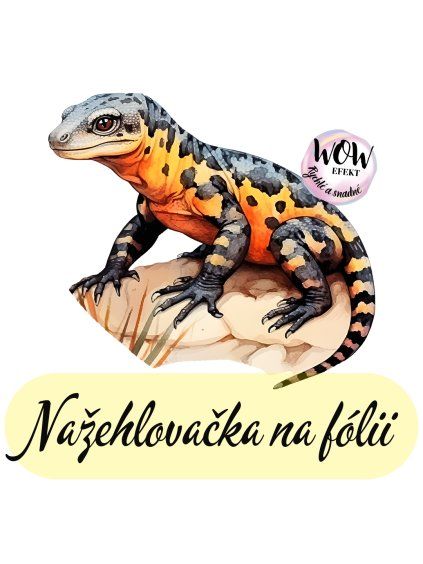 nažehlovačka, NNF801