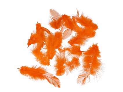 Peří, 10g, ORANŽOVÁ, 1-10 cm, 1 bal.