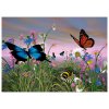 Diamantové malování, obrázek, MOTÝLCI NA LOUCE,