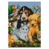 Diamantové malování, diamantový obrázek, motiv DOMÁCÍ ZVÍŘÁTKA,