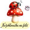nažehlovačka, NNF01