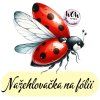 nažehlovačka, NNF02