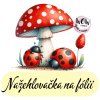 nažehlovačka, NNF03