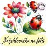 nažehlovačka, NNF04