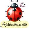 nažehlovačka, NNF05