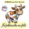 nažehlovačka NNF11 2 mini 1 kus